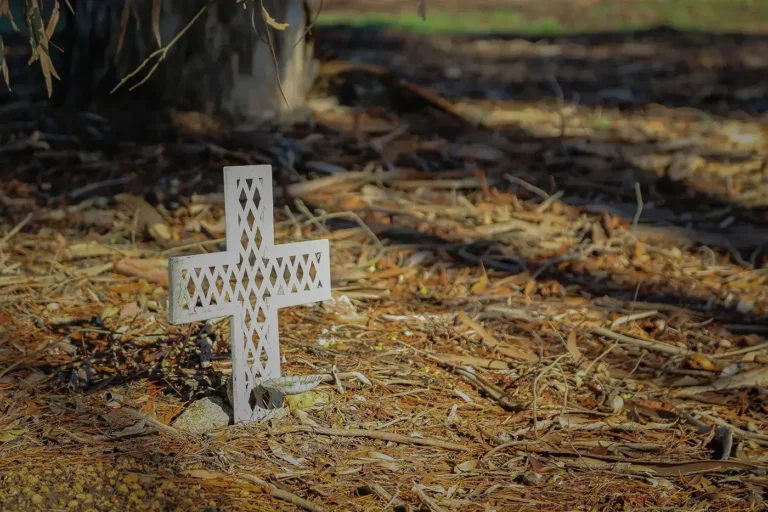 beneath a tree in orchid valley