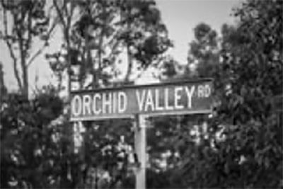 orchid valley australia