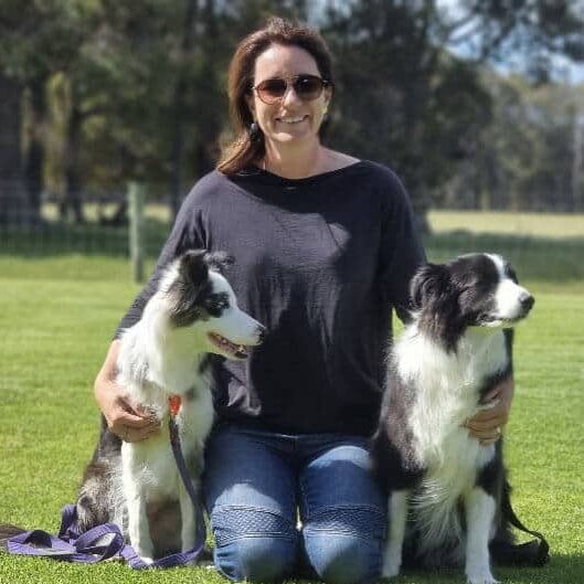 talita director orchid valley pet